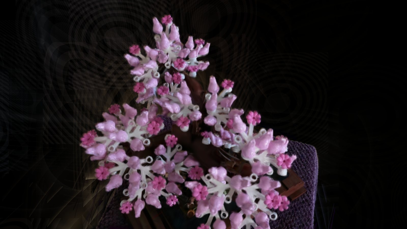A 1080p Gaussian-splat render of a bonsai from the integer renderer