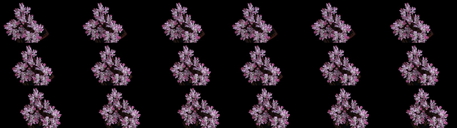 Side by side: the integer renderer against a float reference renderer on the same scene